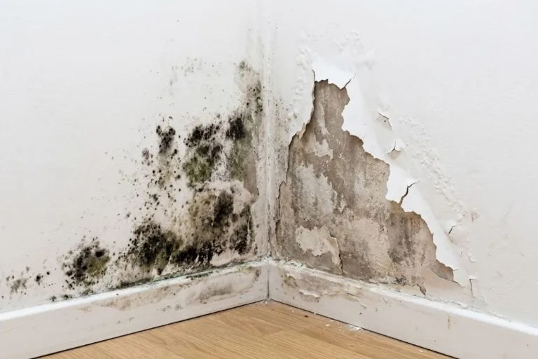 humidité dans un mur